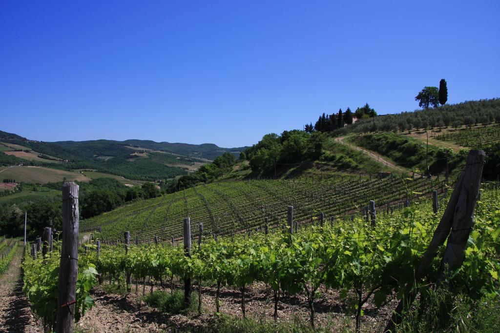 Il Borghetto Tuscan Holidays サン・ジミニャーノ エクステリア 写真